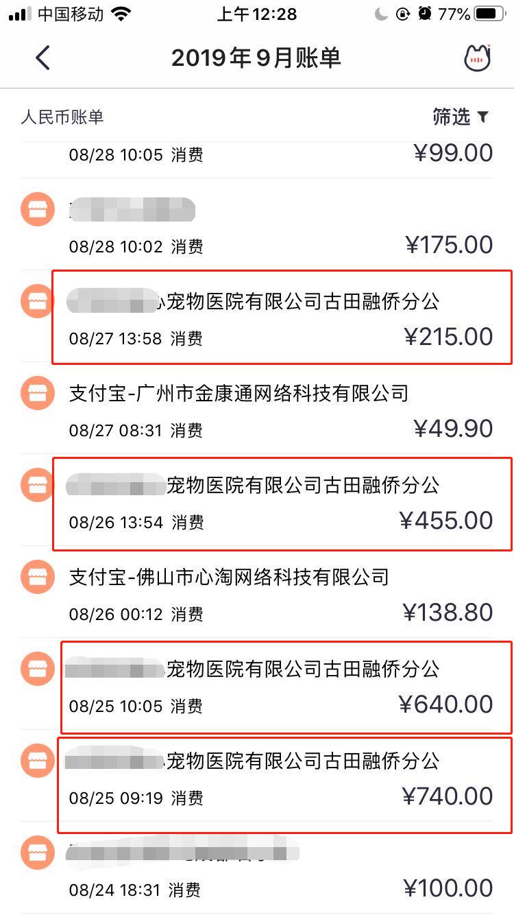 治猫尿闭症要多少钱,治疗猫咪尿闭超过24小时一般花费