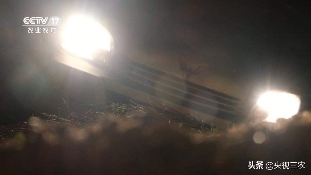 退伍老兵一个习惯救了自己一命,退伍老兵救了一车人