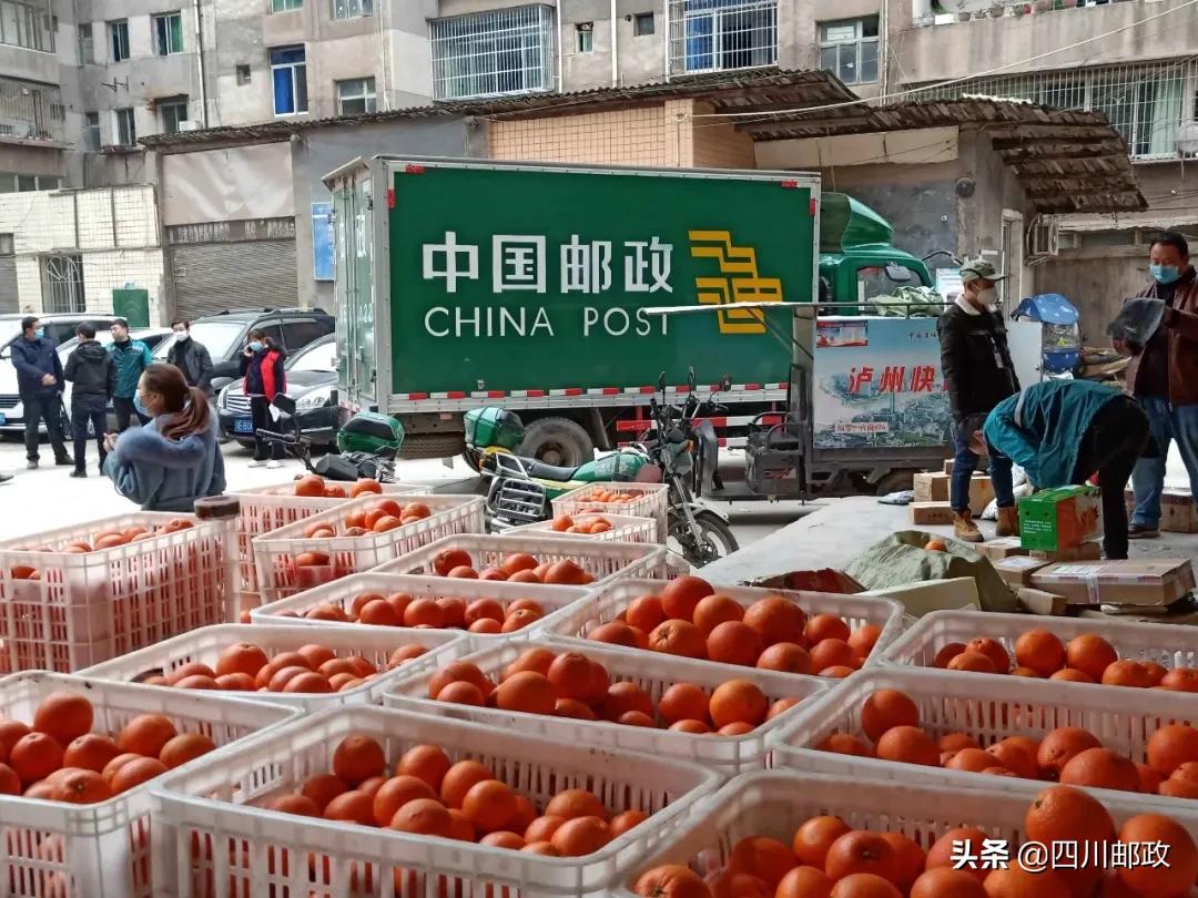 战疫一个月,四川战疫