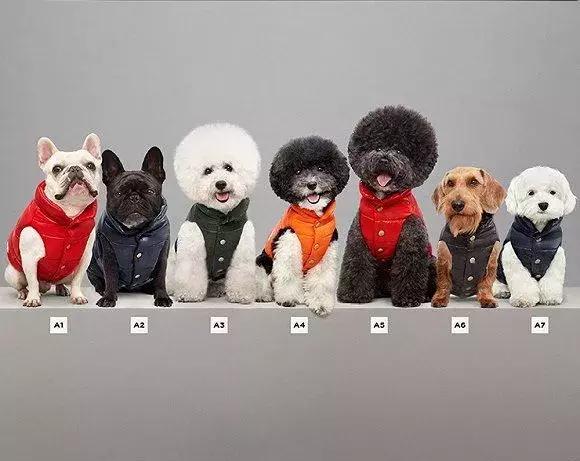 滑雪算比较贵的运动吗,滑雪运动有何难