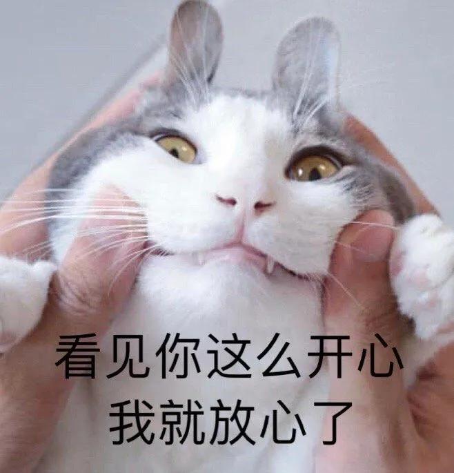 猫咪吃了蟑螂该给它吃什么药,猫咪每天给主人家门口送礼物