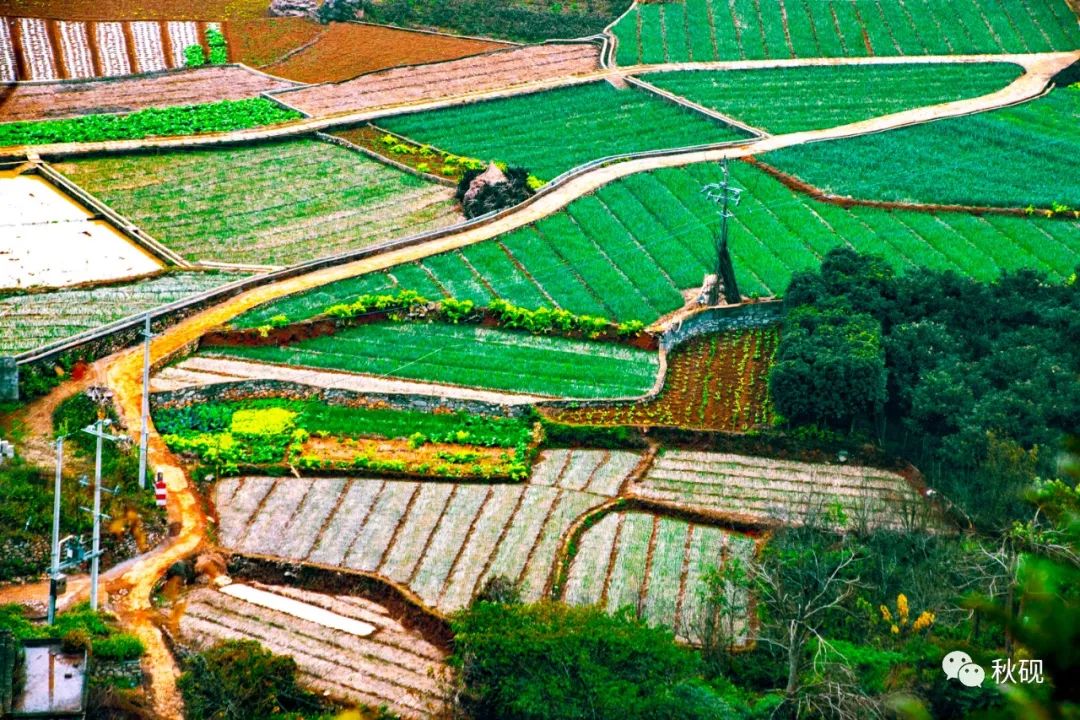 周游西南随记（六）弥蒙的万峰林