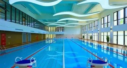 上海新晋10所黑马小学大盘点,上海最出名的十所小学