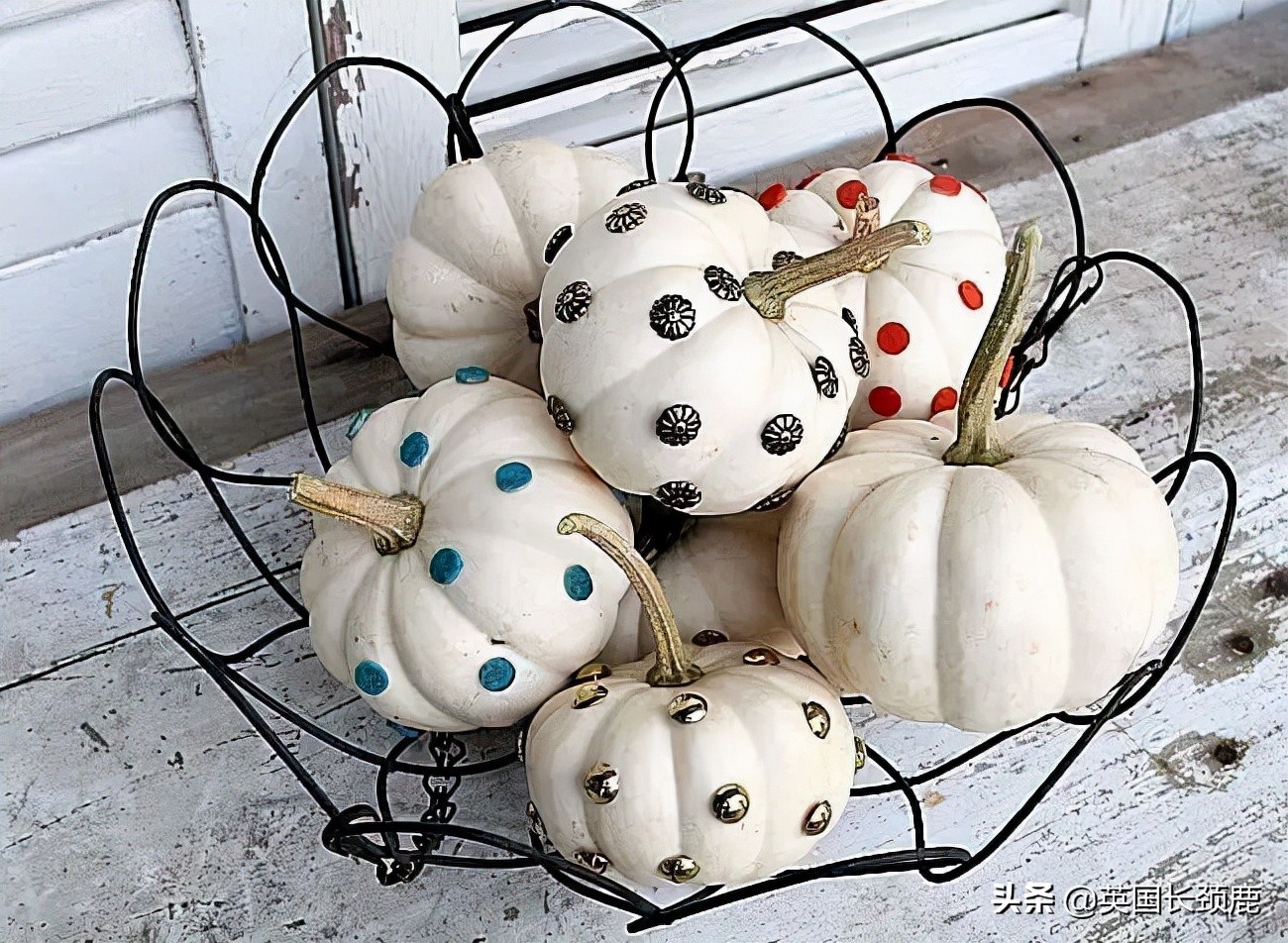 南瓜大作战攻略,南瓜大作战有几个地点