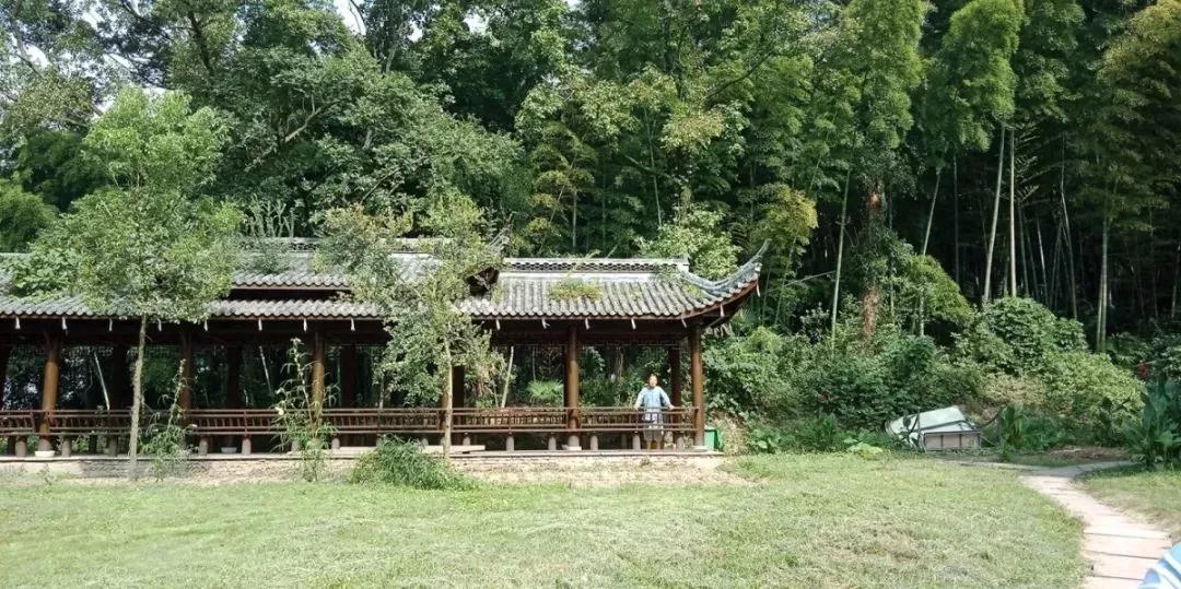 宁海普南禅院联系电话,普南禅院是不是正在修缮