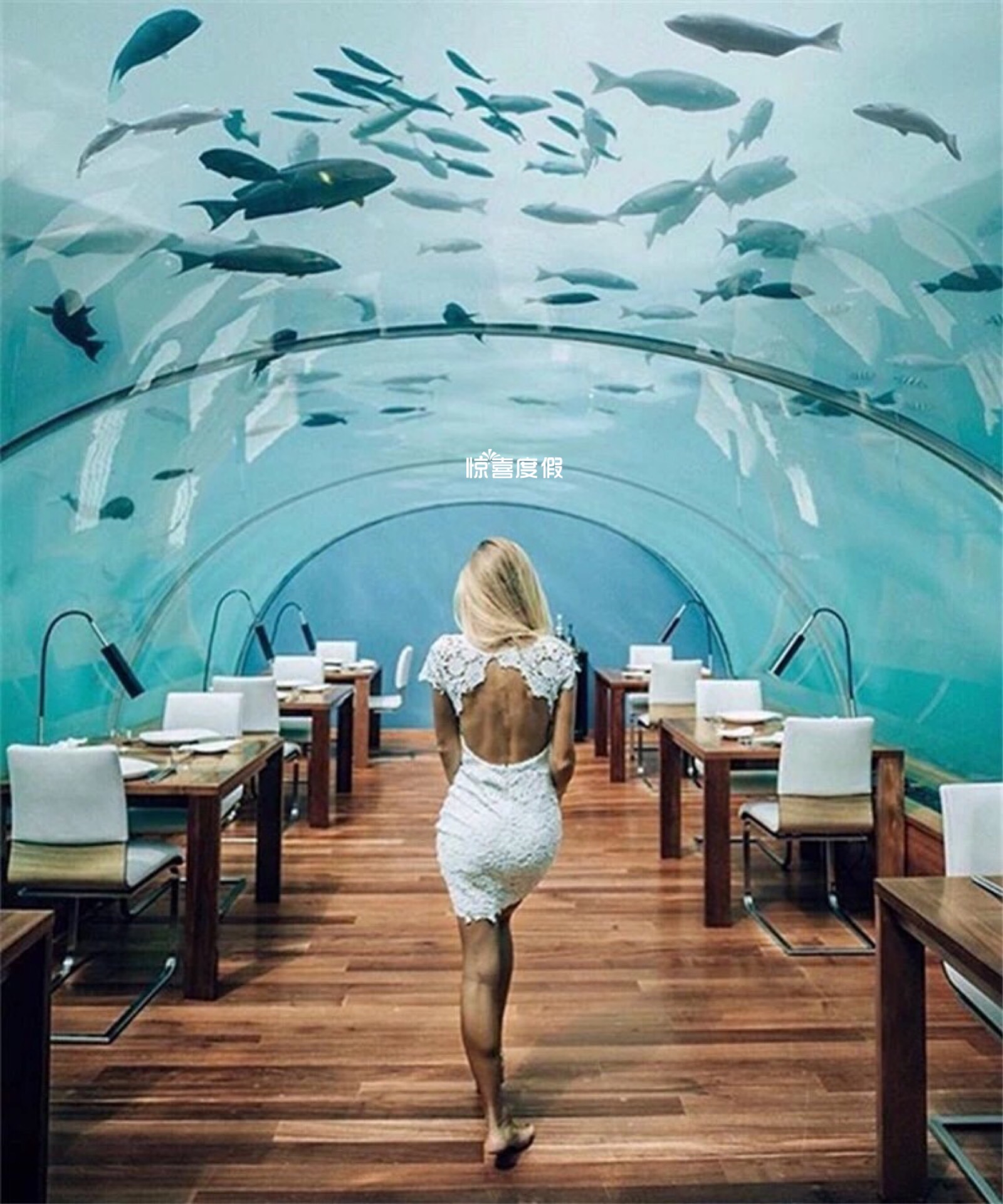 马尔代夫法式水上餐厅,马尔代夫海底餐厅视频