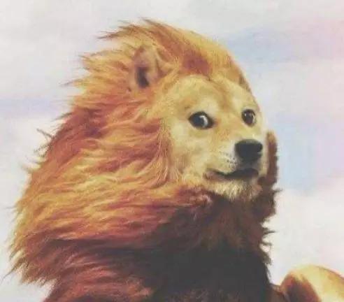 女人过了45,建议出游戴帽子,既减龄还防晒,清新优雅气质撩人