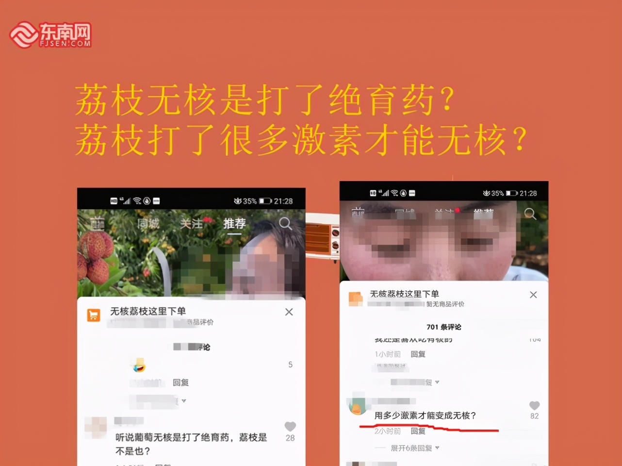 无核荔枝是真的吗,无核荔枝分有早熟和迟熟吗