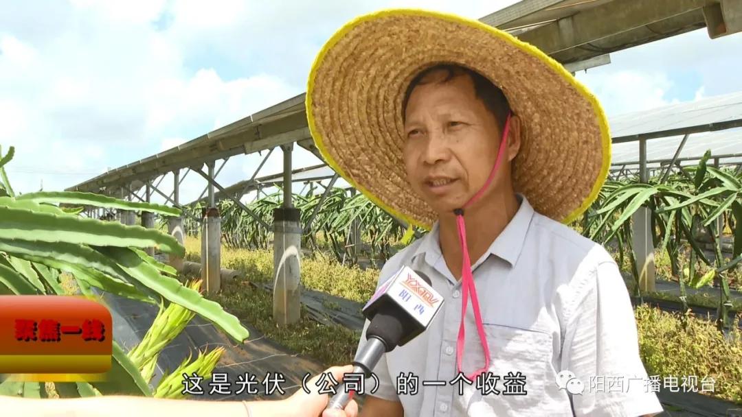 阳西县光伏发电项目,阳西县光伏公司