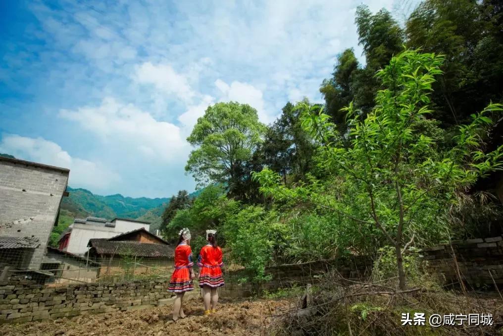 崇阳十处绝美古村落,藏在湖北咸宁深山中的古村落