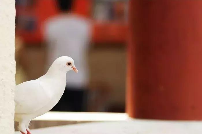 人死后去阴间的全过程、看醒了很多人