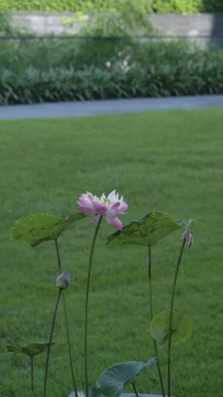 泰国自由行攻略详细版 (泰国自由行攻略最详细价格)