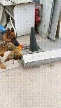 捡到了u盘里面会有什么,捡到一个u盘还好没有用