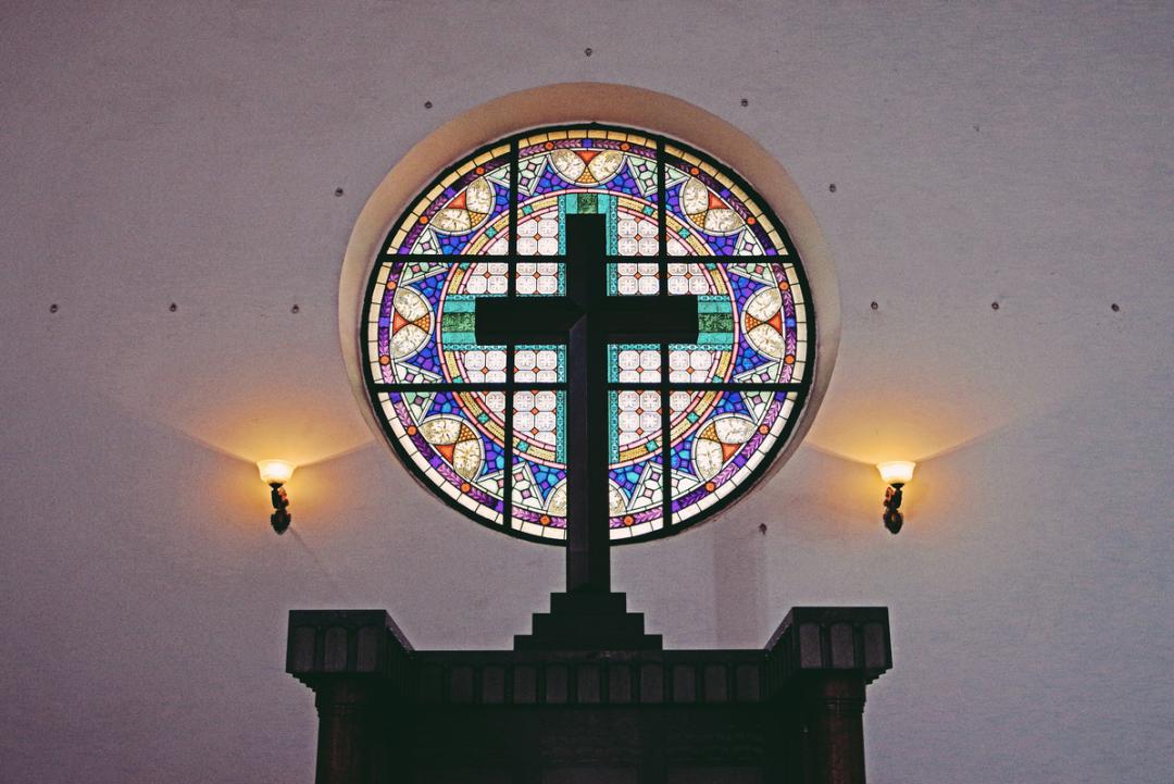 均温20℃的海滨老城，紫色泡桐花美得像国外，现在去性价比超高