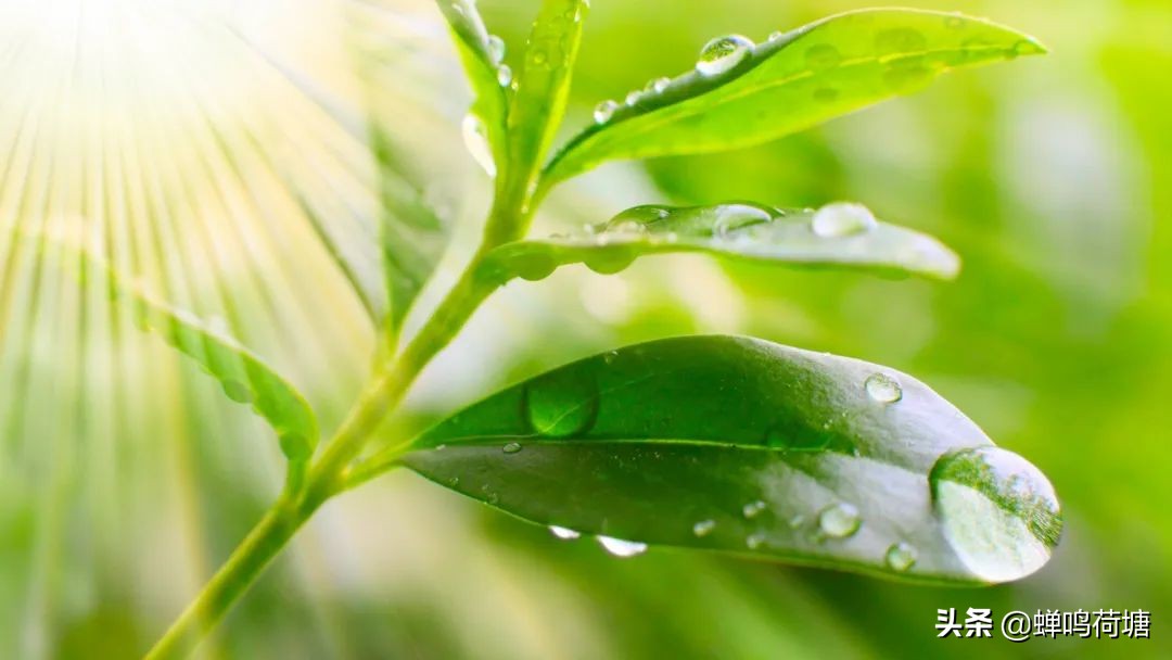 春之声创编作品简单好看,春之声王蒙读后感