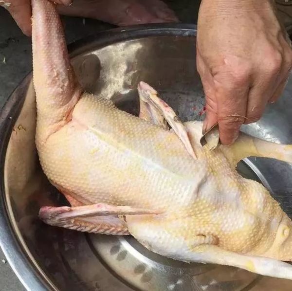 鸭毛的好方法拔鸭毛简单又干净,鸭毛怎么拔得干净