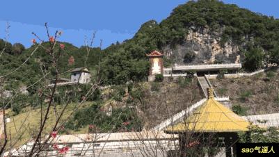 翁源东华地窖酒,韶关翁源赏荞麦花