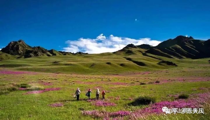 青海省选调生工资待遇怎么样,青海省公务员工资待遇