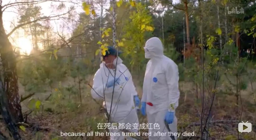 切尔诺贝利爆发山火,消防员为何不敢去救火?