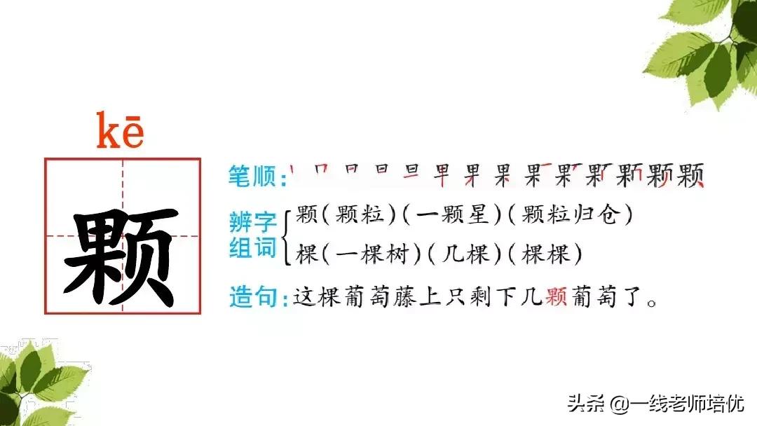 三年级语文带刺的朋友课堂笔记,带刺的朋友三年级上册