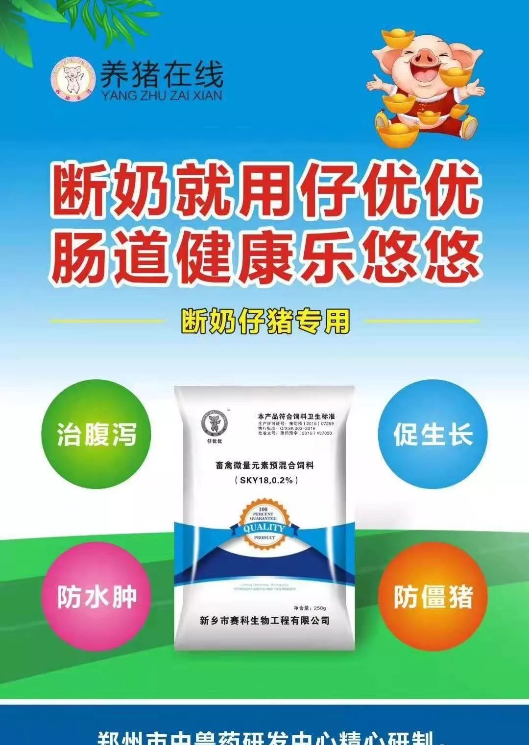 「技术」母猪发情时间的判断直接影响产仔数，如何鉴别发情？