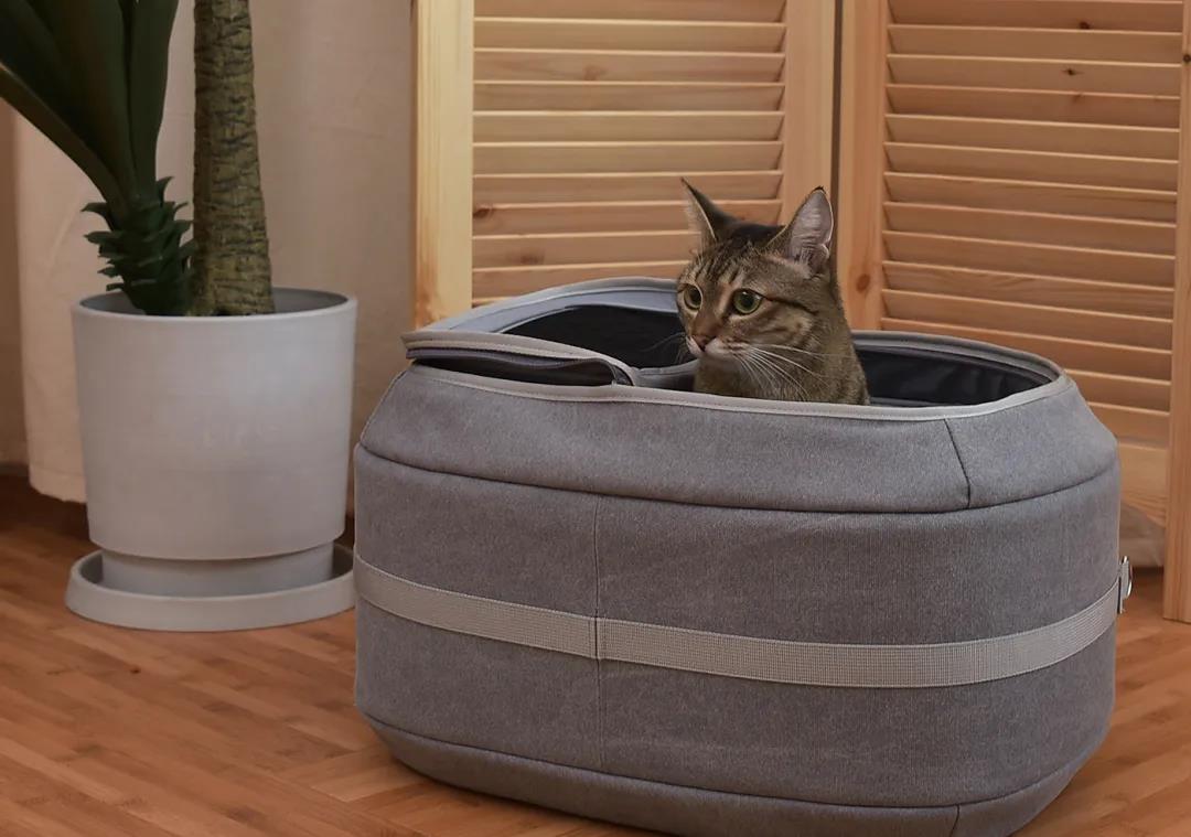 未来5年宠物智能产品,宠物产品logo设计