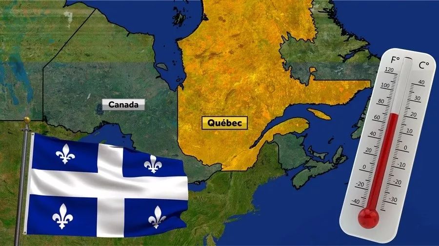 1.6米！男子上厕所*体下**被蟒蛇咬伤蛇群异常行为，暗示了什么？