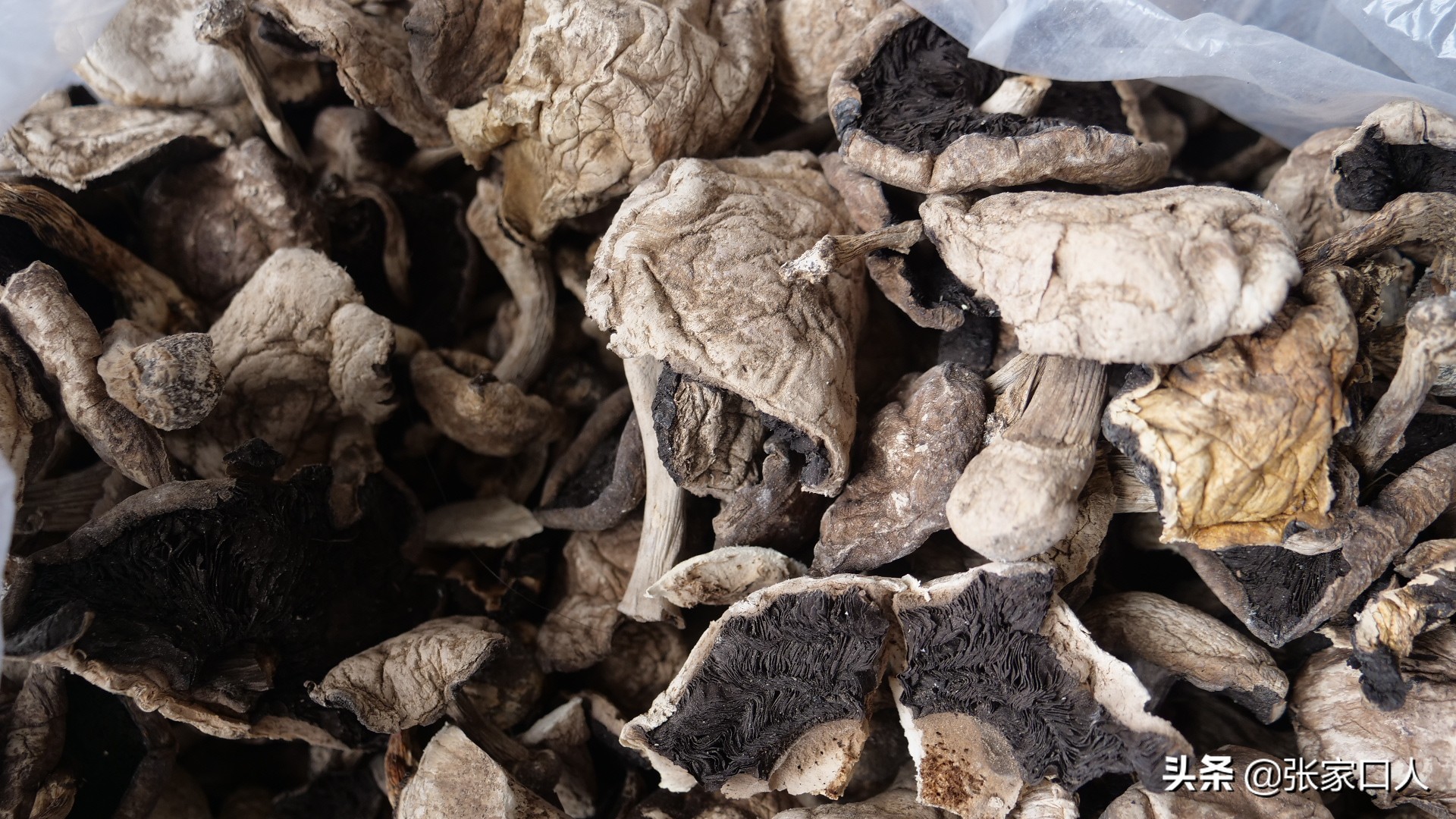 张家口莜面历史,北京人吃莜面是从什么时候开始的