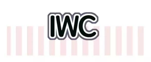 新年红包2024年新款创意包包,新年红包包包2024新款