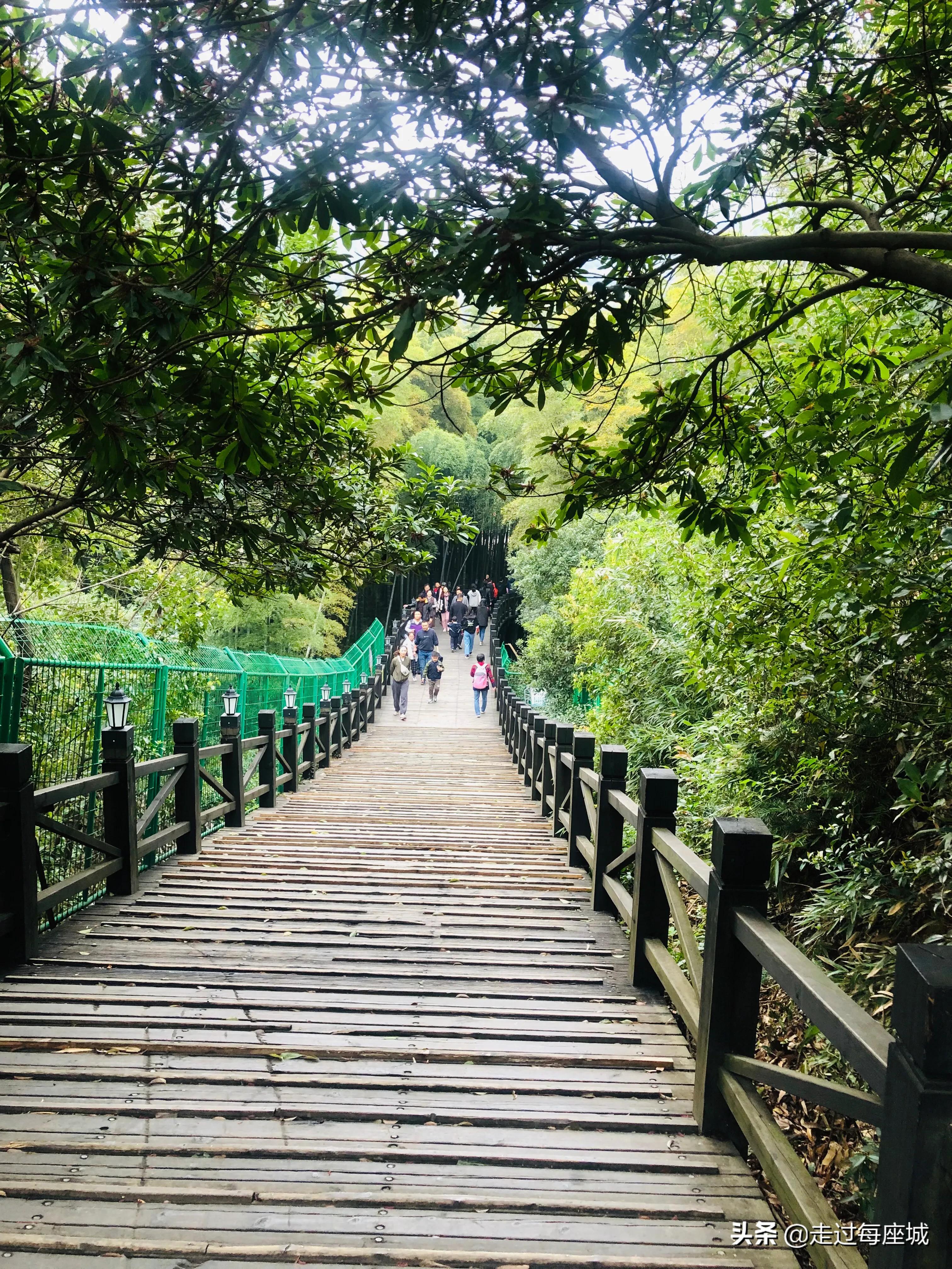 苏州小众却很棒的原生态的古镇,苏州必去的古村