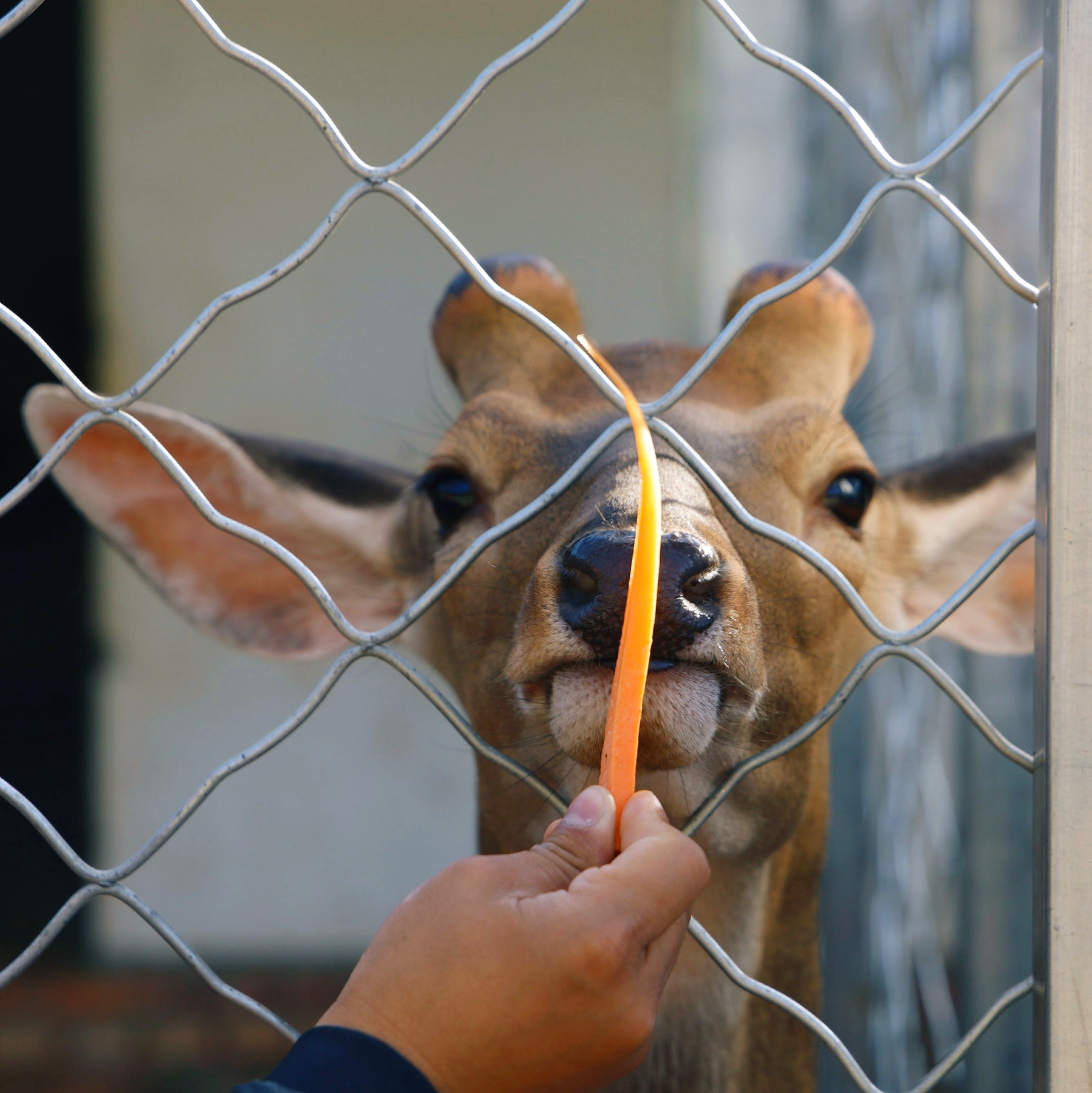 燕山第一峰,这座山高得像什么似的填空