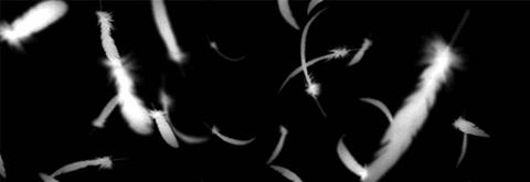 洗稿、制造焦虑、削减脑袋学咪蒙...…有些自媒体越来越像垃圾场