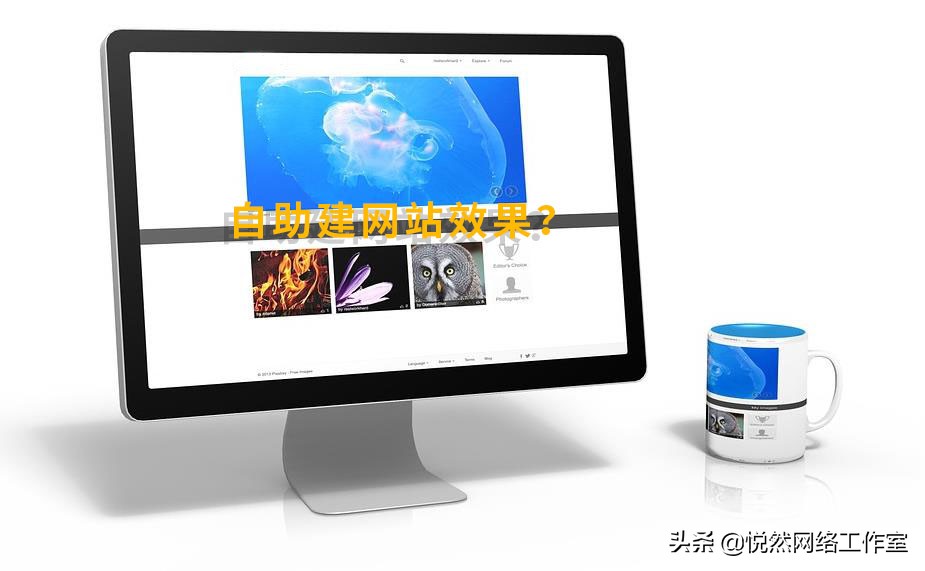 悦然seo建站模板案例展示,悦然建站工作室