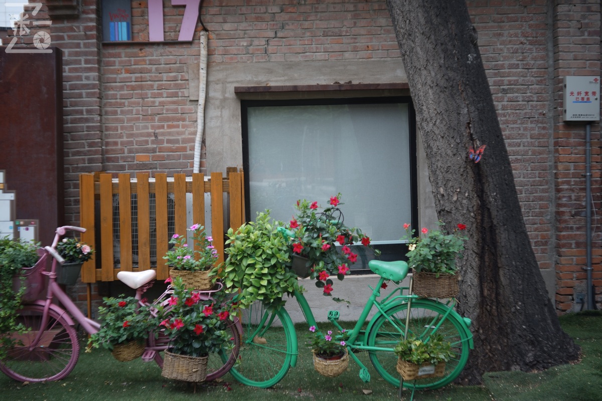 适合索尼a7m4的50定焦镜头测评,索尼a7m4镜头24-105f4测评