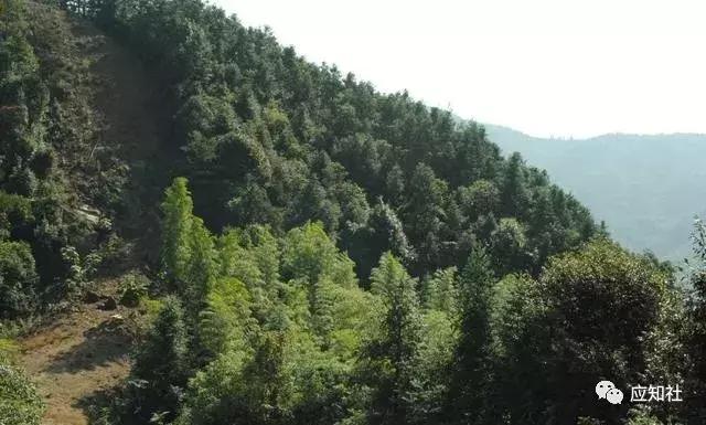 宁波踏青好去处自驾,宁波周边免费踏青爬山
