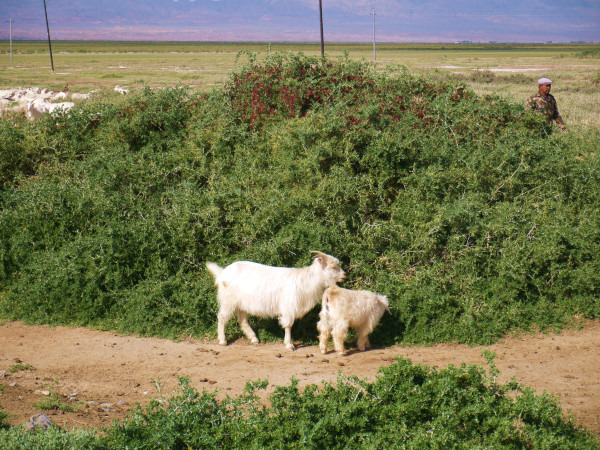 青甘大环线几月份去比较好,甘青大环线旅游跟团游旅行社报价