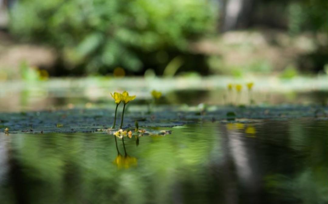 补脾胃健脾胃最简单的方法,给脾胃虚弱孩子的按摩手法