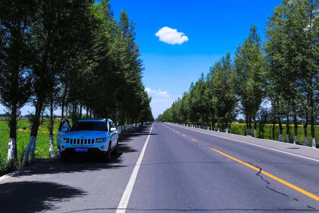 适合夏天去旅游的自驾路线,适合夏季的自驾游路线推荐