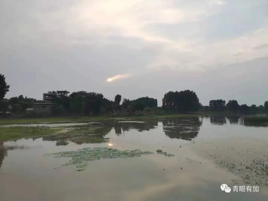 西吴沟村美丽乡村,水乡西吴沟