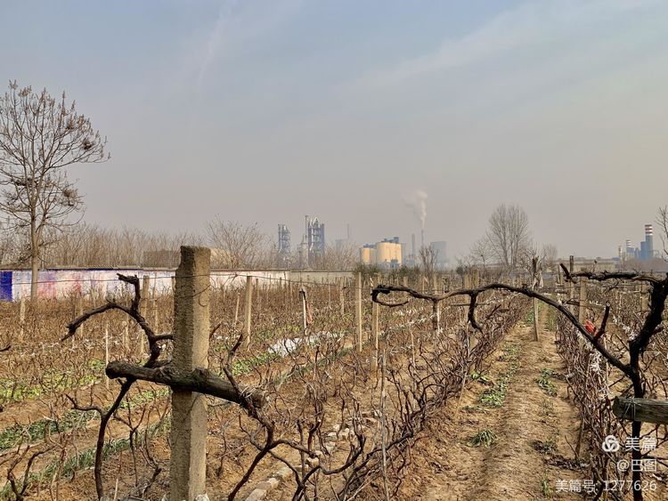 新安老家怀旧行，洛玻砂岩矿成为历史，洛阳水泥厂辉煌不再