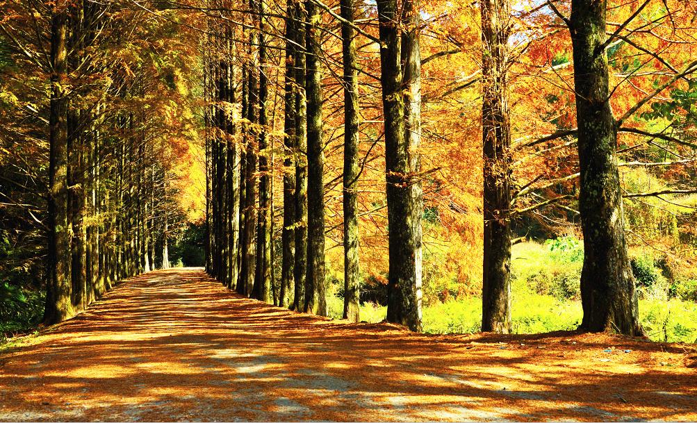 中国绿都最氧三明,中国绿都最氧三明春回大地