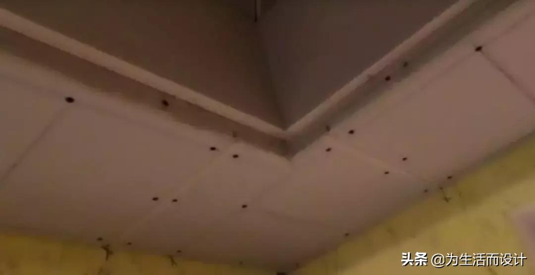 房天下直播瓯玥名邸,房天下直播完整版