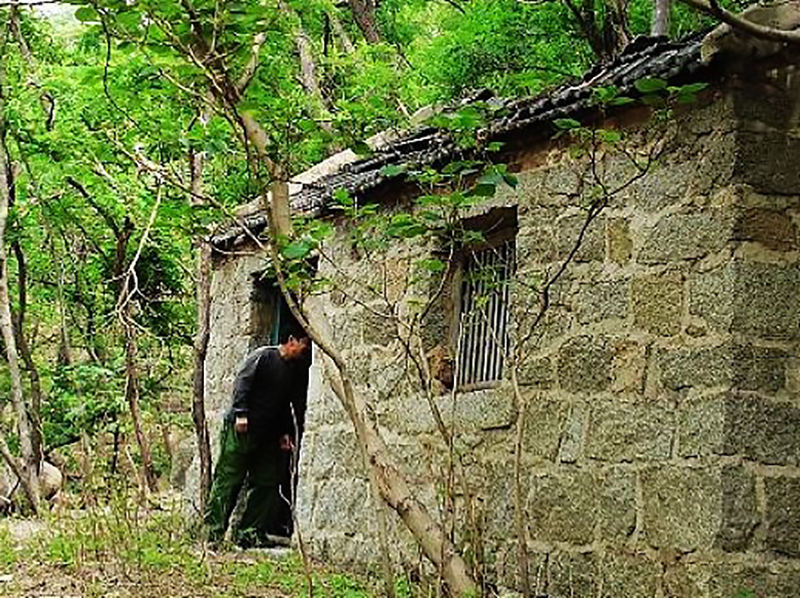 农村小伙白手起家挣千万,返乡种药材致富故事