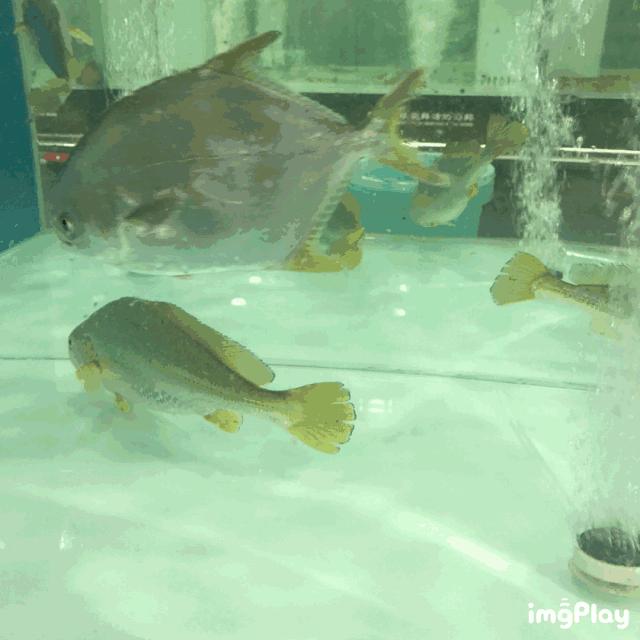 南通人过去一年最爱去的这36家餐厅，都在这儿了