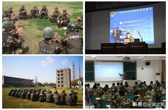 纪实视频,记实记录