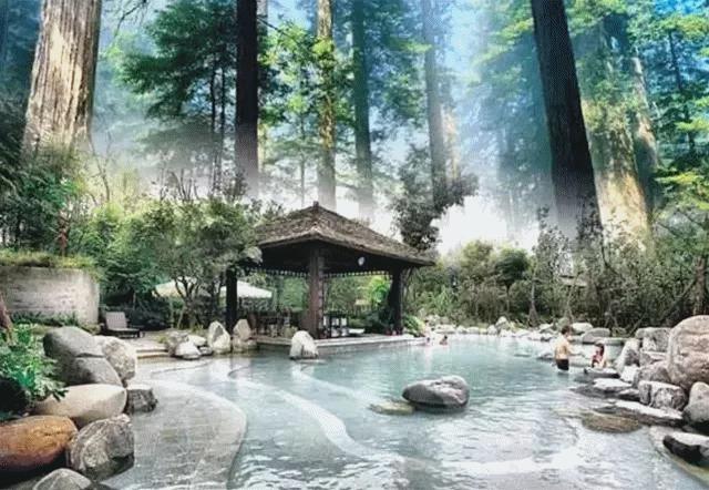 总统酒店378元一晚,总统住的酒店多少钱