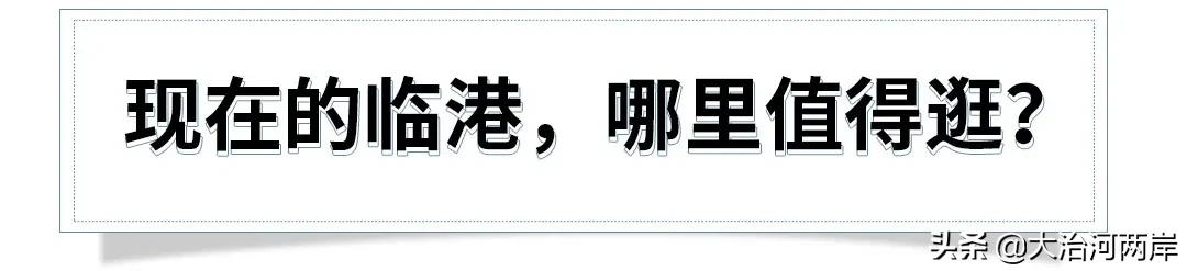 厉害了我的新东方,厉害了我的浦东