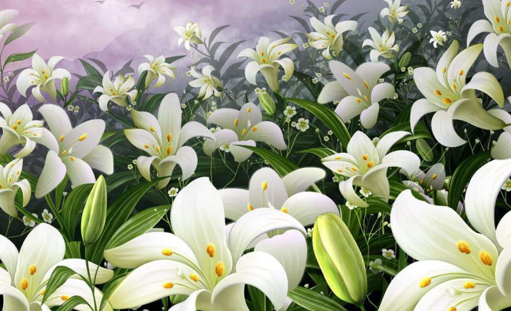 百合花怎么繁殖最快,百合花如何繁殖最好