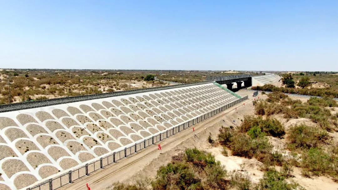 倔强的骆驼舞蹈视频,倔强的骆驼歌曲