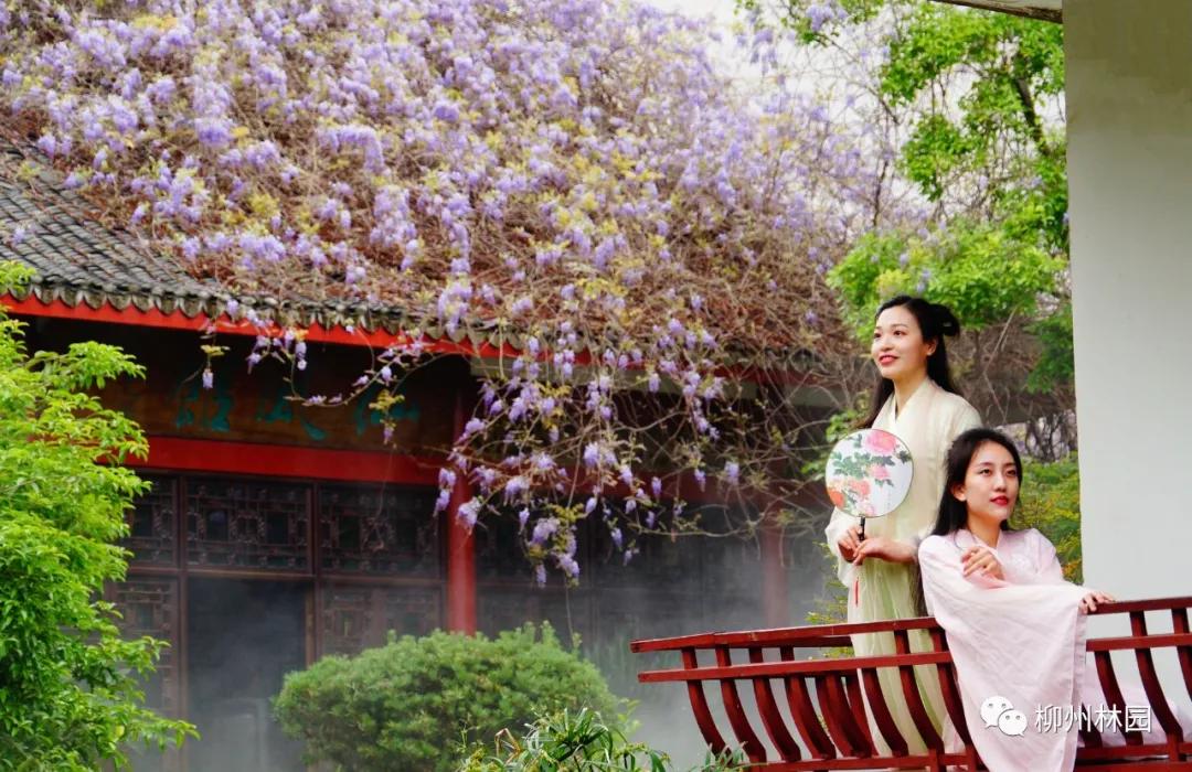 柳州柳侯公园有什么景物,柳州柳侯公园值得打卡